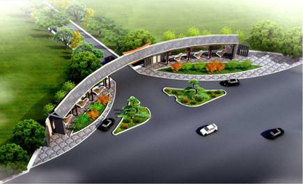 江苏省泰州道路景观规划设计方案